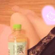 ヒメ日記 2025/04/15 10:11 投稿 ハル ファーストレディー