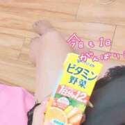 ヒメ日記 2025/05/15 08:13 投稿 ハル ファーストレディー