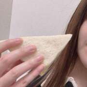 ヒメ日記 2025/04/17 19:51 投稿 ひまり 胡蝶蘭