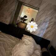 ヒメ日記 2025/11/14 17:34 投稿 ひまり 胡蝶蘭