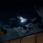 ヒメ日記 2026/01/08 17:42 投稿 ひまり 胡蝶蘭