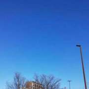 ヒメ日記 2026/01/09 16:11 投稿 ひまり 胡蝶蘭