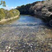 ひまり 明日出勤ꉂꉂ📣 胡蝶蘭