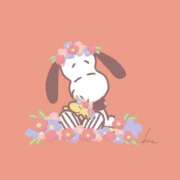 ヒメ日記 2026/02/27 18:55 投稿 ひまり 胡蝶蘭