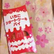 ヒメ日記 2026/03/17 17:31 投稿 ひまり 胡蝶蘭