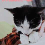 ヒメ日記 2025/04/06 17:24 投稿 あけび 熟女の風俗最終章 本厚木店