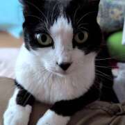 ヒメ日記 2025/04/08 19:36 投稿 あけび 熟女の風俗最終章 本厚木店