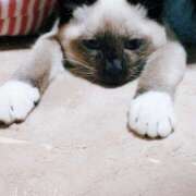 ヒメ日記 2025/04/24 17:39 投稿 あけび 熟女の風俗最終章 本厚木店