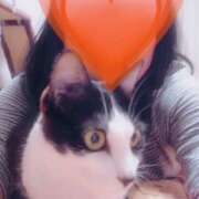 ヒメ日記 2025/08/10 09:41 投稿 あけび 熟女の風俗最終章 本厚木店