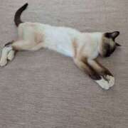 ヒメ日記 2025/10/14 10:56 投稿 あけび 熟女の風俗最終章 本厚木店