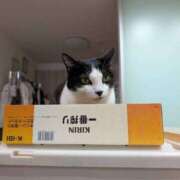 ヒメ日記 2025/10/20 06:41 投稿 あけび 熟女の風俗最終章 本厚木店