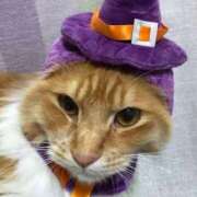 ヒメ日記 2025/10/31 15:42 投稿 あけび 熟女の風俗最終章 本厚木店