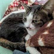 ヒメ日記 2026/01/07 07:21 投稿 あけび 熟女の風俗最終章 本厚木店