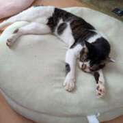 ヒメ日記 2026/01/08 06:51 投稿 あけび 熟女の風俗最終章 本厚木店