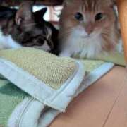 ヒメ日記 2026/01/16 07:01 投稿 あけび 熟女の風俗最終章 本厚木店