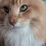 ヒメ日記 2026/02/19 06:52 投稿 あけび 熟女の風俗最終章 本厚木店