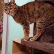 ヒメ日記 2026/02/25 07:01 投稿 あけび 熟女の風俗最終章 本厚木店