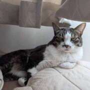 ヒメ日記 2026/03/11 08:01 投稿 あけび 熟女の風俗最終章 本厚木店