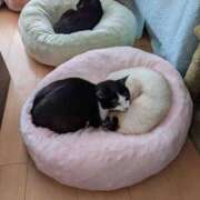 ヒメ日記 2026/03/12 07:01 投稿 あけび 熟女の風俗最終章 本厚木店