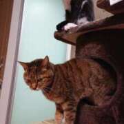 ヒメ日記 2026/03/13 07:11 投稿 あけび 熟女の風俗最終章 本厚木店