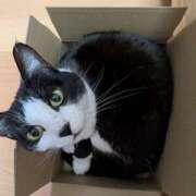 ヒメ日記 2026/04/01 07:11 投稿 あけび 熟女の風俗最終章 本厚木店