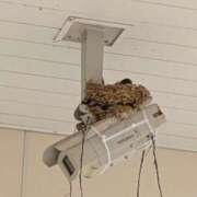 ヒメ日記 2026/04/30 10:41 投稿 あけび 熟女の風俗最終章 本厚木店
