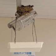 ヒメ日記 2026/05/18 08:51 投稿 あけび 熟女の風俗最終章 本厚木店
