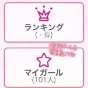 ヒメ日記 2025/04/06 08:33 投稿 みいにゃ 日暮里・西日暮里サンキュー