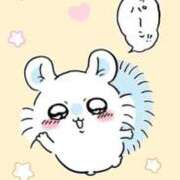 ヒメ日記 2025/11/02 16:01 投稿 みいにゃ 日暮里・西日暮里サンキュー