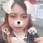 ヒメ日記 2026/04/24 17:51 投稿 みいにゃ 日暮里・西日暮里サンキュー