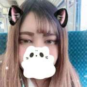 ヒメ日記 2026/04/26 12:21 投稿 みいにゃ 日暮里・西日暮里サンキュー