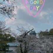 ヒメ日記 2025/04/10 11:50 投稿 とあ SUZUME