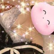 ヒメ日記 2025/04/20 17:00 投稿 とあ SUZUME