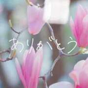 ヒメ日記 2025/05/07 17:30 投稿 とあ SUZUME