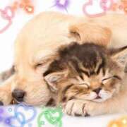 ヒメ日記 2025/05/17 20:12 投稿 とあ SUZUME