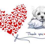 ヒメ日記 2025/05/27 21:00 投稿 とあ SUZUME