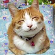 ヒメ日記 2025/05/29 18:50 投稿 とあ SUZUME