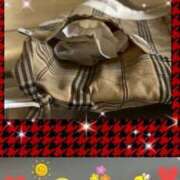 ヒメ日記 2025/06/04 17:50 投稿 とあ SUZUME