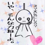 ヒメ日記 2025/06/09 16:50 投稿 とあ SUZUME