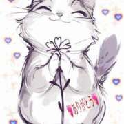 ヒメ日記 2025/06/09 20:50 投稿 とあ SUZUME