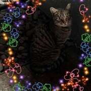 ヒメ日記 2025/06/13 17:00 投稿 とあ SUZUME