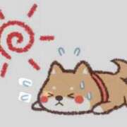 ヒメ日記 2025/06/19 19:20 投稿 とあ SUZUME