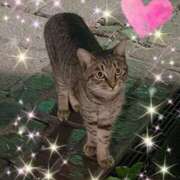 ヒメ日記 2025/06/21 18:50 投稿 とあ SUZUME