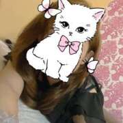 ヒメ日記 2025/06/24 19:00 投稿 とあ SUZUME