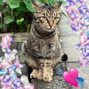 ヒメ日記 2025/06/27 18:49 投稿 とあ SUZUME