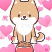 ヒメ日記 2025/07/02 17:49 投稿 とあ SUZUME