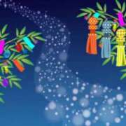 ヒメ日記 2025/07/07 21:19 投稿 とあ SUZUME