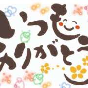 ヒメ日記 2025/07/08 21:09 投稿 とあ SUZUME