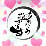 ヒメ日記 2025/07/09 18:09 投稿 とあ SUZUME