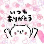 ヒメ日記 2025/07/15 17:29 投稿 とあ SUZUME